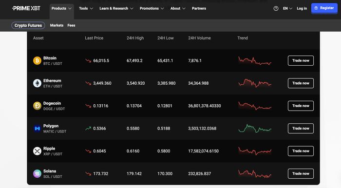 Ultimate Guide to Trading The PrimeXBT Website